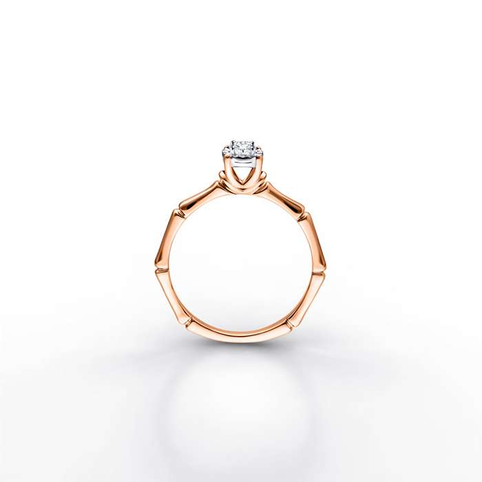 Diamond Ladies Ring Bamboo CWS0530